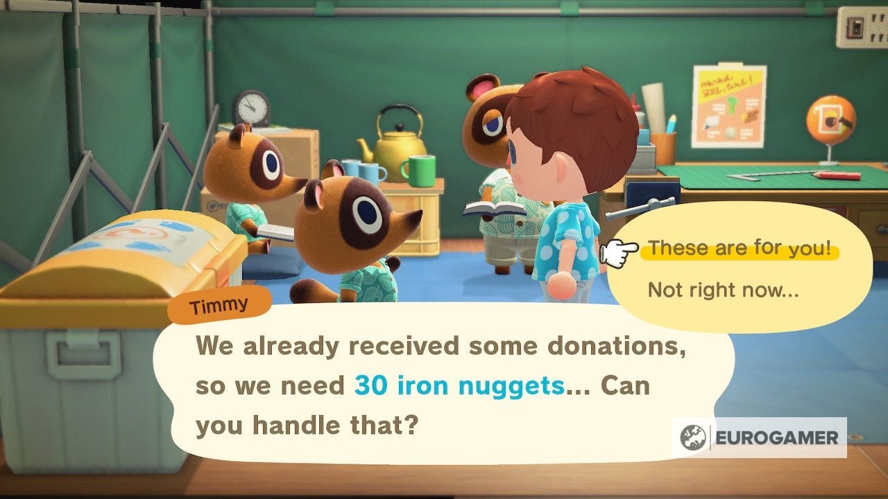 Animal Crossing Ladder unlocking How to get a ladder to climb cliff